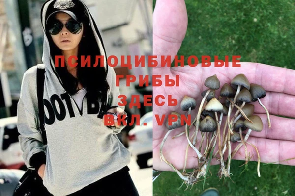 PSILOCYBIN Арсеньев