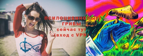 эйфоретик Аркадак