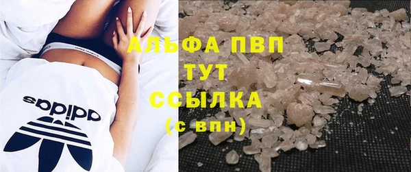 эйфоретик Аркадак