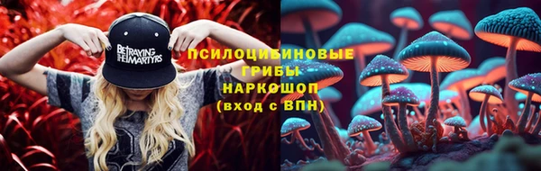 прущие крисы Армянск