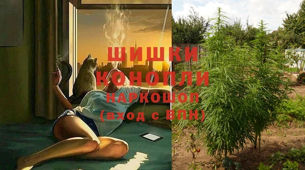 PSILOCYBIN Арсеньев