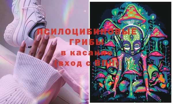 эйфоретик Аркадак