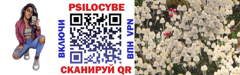 где найти наркотики  площадка какой сайт  blacksprut ссылка  Псилоцибиновые грибы Psilocybe  Радужный 